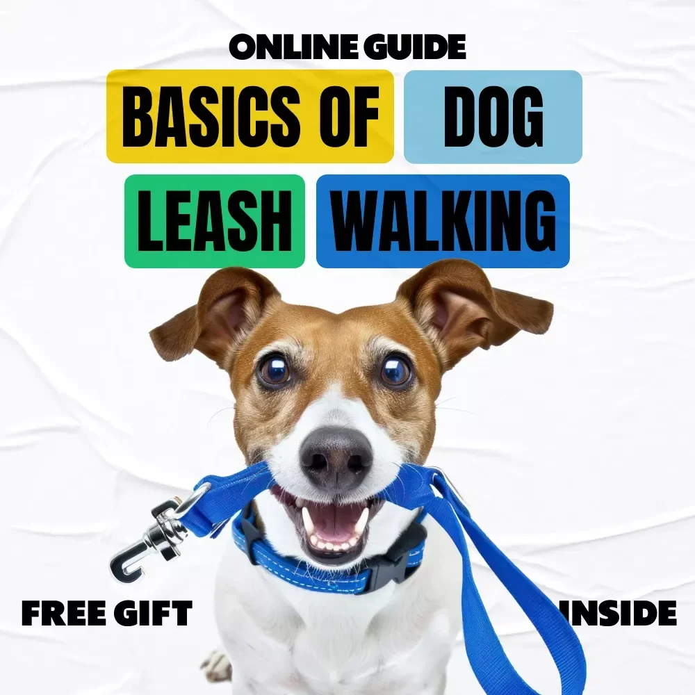 Basics of Dog Leash Walking | Dog Training Digital Download Guide, Loose-Leash Walking Tips, Puppy Training eBook, Pet Owner Checklist & Training Support