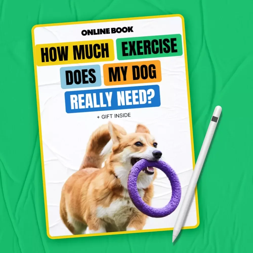 How Much Exercise Does My Dog Really Need | Practical Dog Exercise Guide eBook for Happy, Healthy Pets