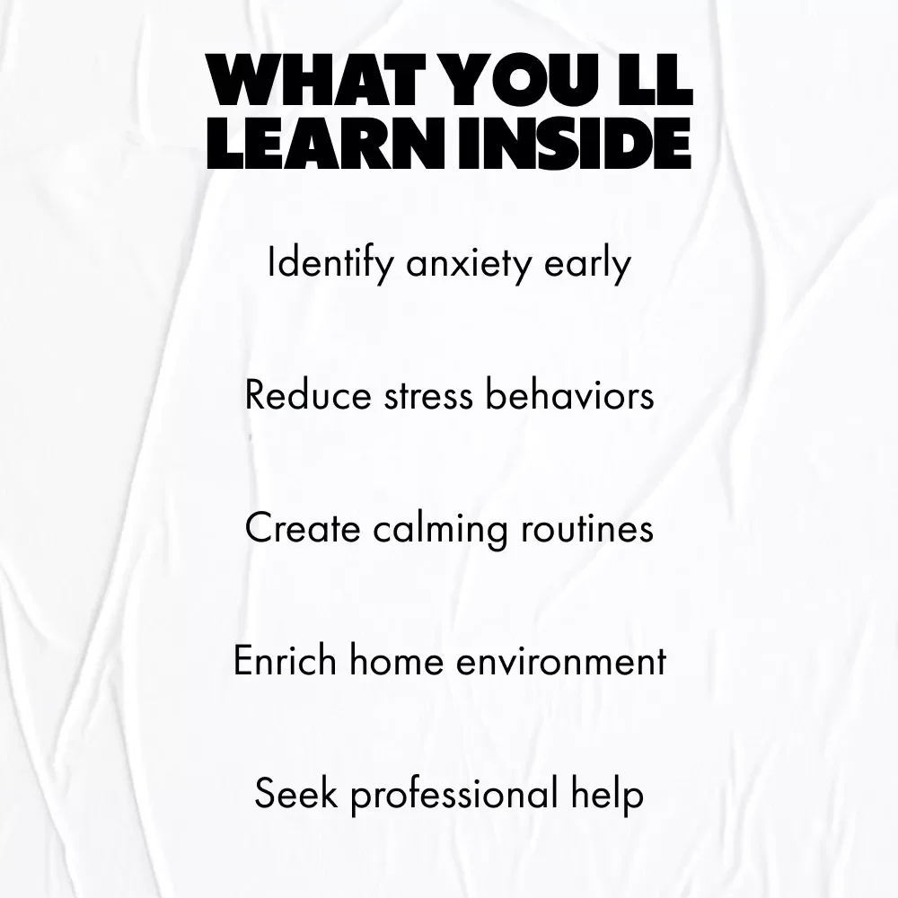 Understanding Cat Separation Anxiety – Compassionate eBook Guide to Recognizing Cat Separation Anxiety Signs & Helping Lonely Cats Feel Secure