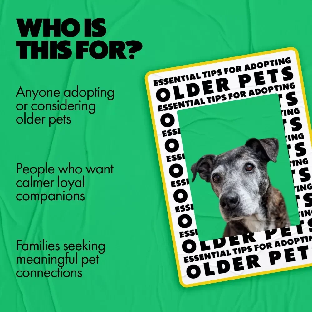 Essential Tips for Adopting Older Pets | Practical Guide with Proven Tips for Adopting Older Pets & Creating a Loving Forever Home
