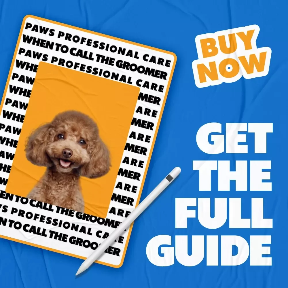 Paws & Professional Care: When to Call the Groomer | Pet Grooming Guide on When to Get Professional Grooming for Dogs & Cats