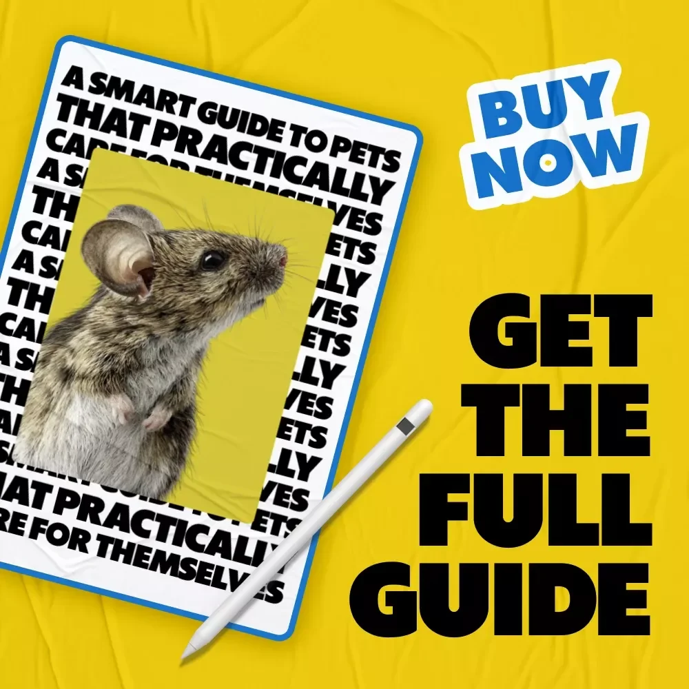 A Smart Guide to Pets That Practically Care for Themselves | Low-Maintenance Pet Guide for Beginners | Learn which pets need the least care