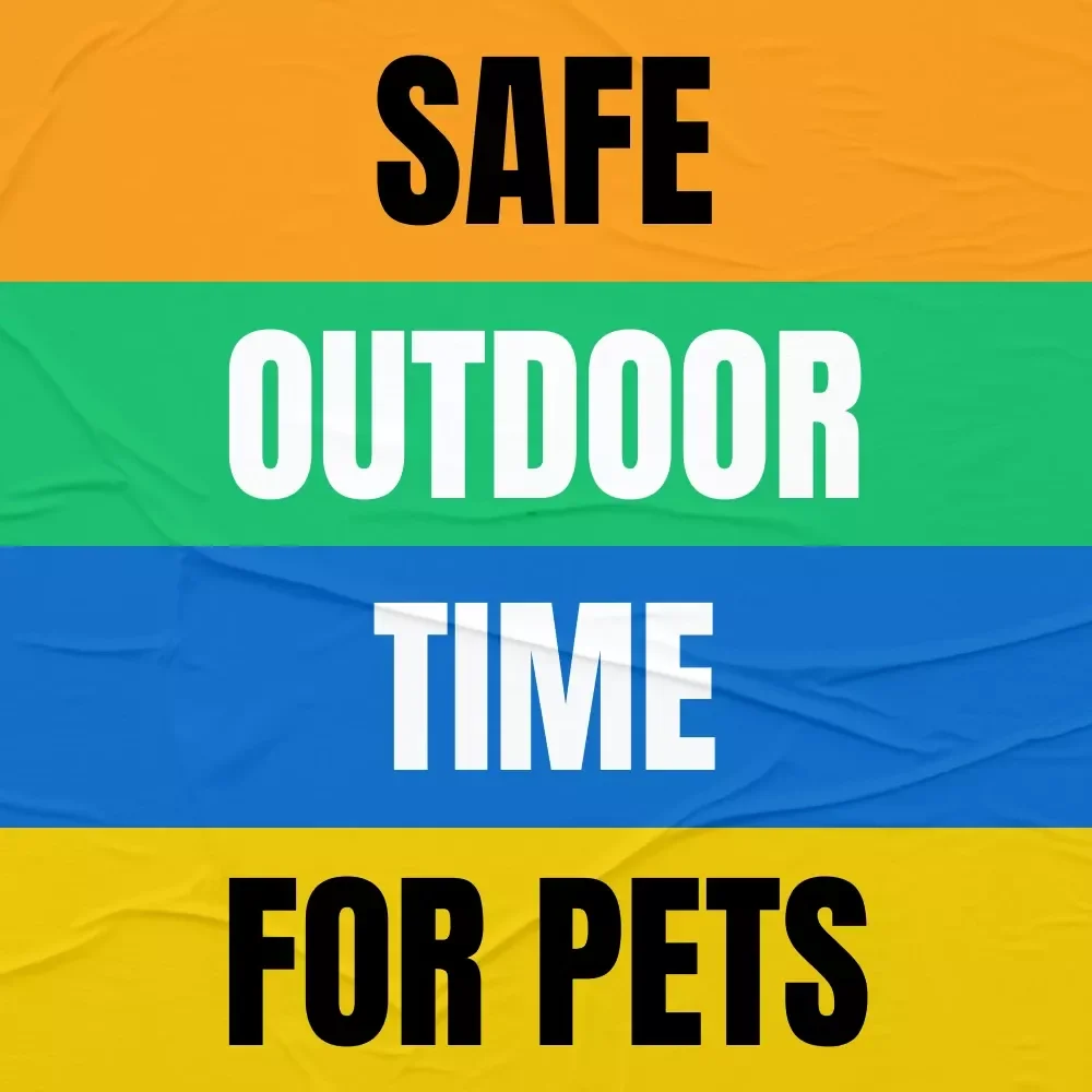 Safe Outdoor Time for Pets: A Comprehensive eBook for Ensuring Your Pet's Safety and Happiness Outdoors