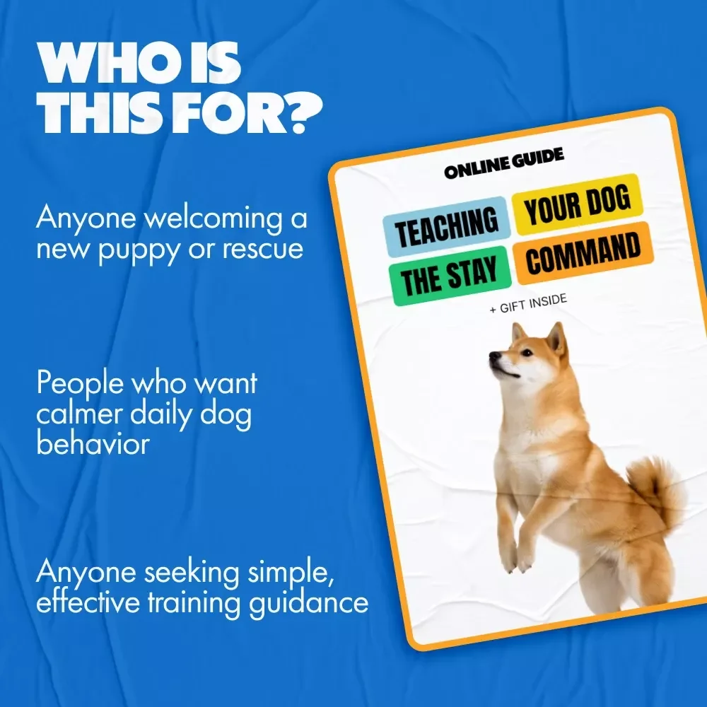 Teaching Your Dog the Stay Command | Dog Training Guide, Puppy Obedience Training, Digital Download, eBook for Beginners
