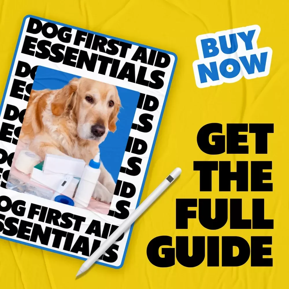 Dog First Aid Essentials: Comprehensive Guide, eBook & Checklist for Dog Owners - Digital Download