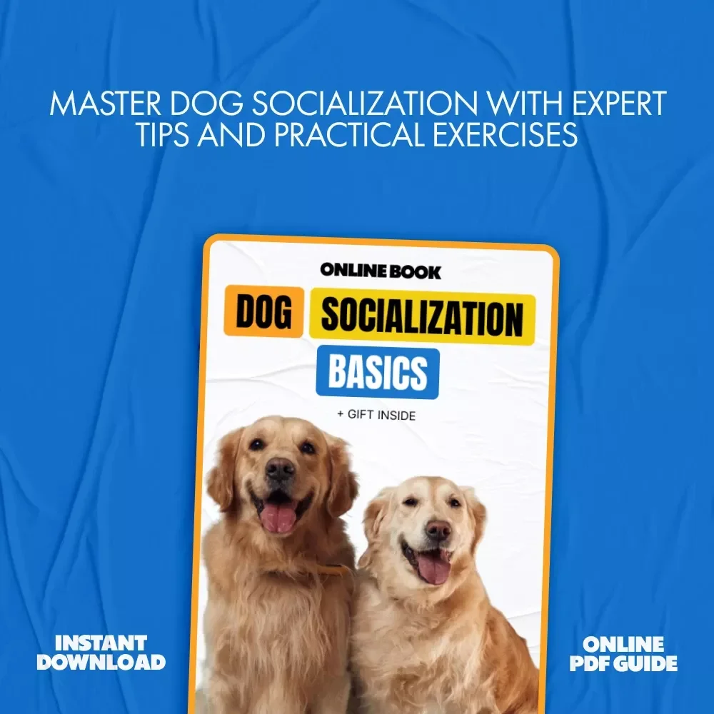 Dog Socialization Basics: A Complete Guide to Raising a Well-Behaved, Confident Pup