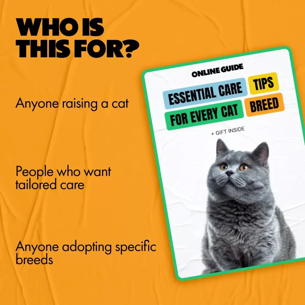 Essential Care Tips for Every Cat Breed | Breed-Specific Health, Nutrition & Grooming Guide | cat breed specific care tips