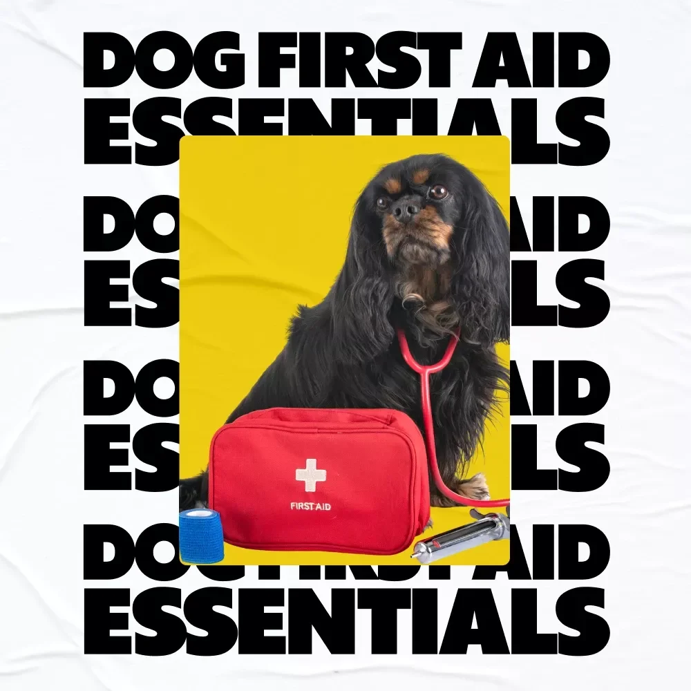 Dog First Aid Essentials: Comprehensive Guide, eBook & Checklist for Dog Owners - Digital Download