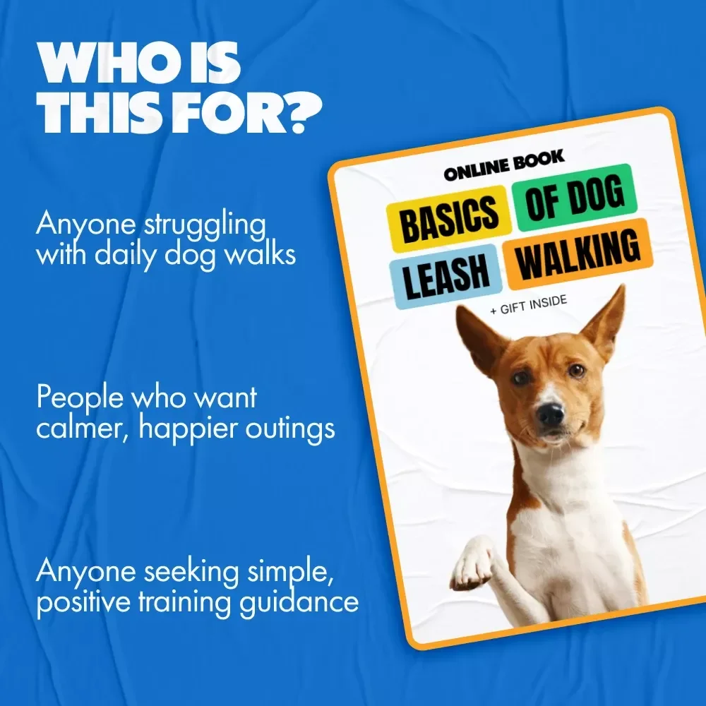 Basics of Dog Leash Walking | Dog Training Digital Download Guide, Loose-Leash Walking Tips, Puppy Training eBook, Pet Owner Checklist & Training Support