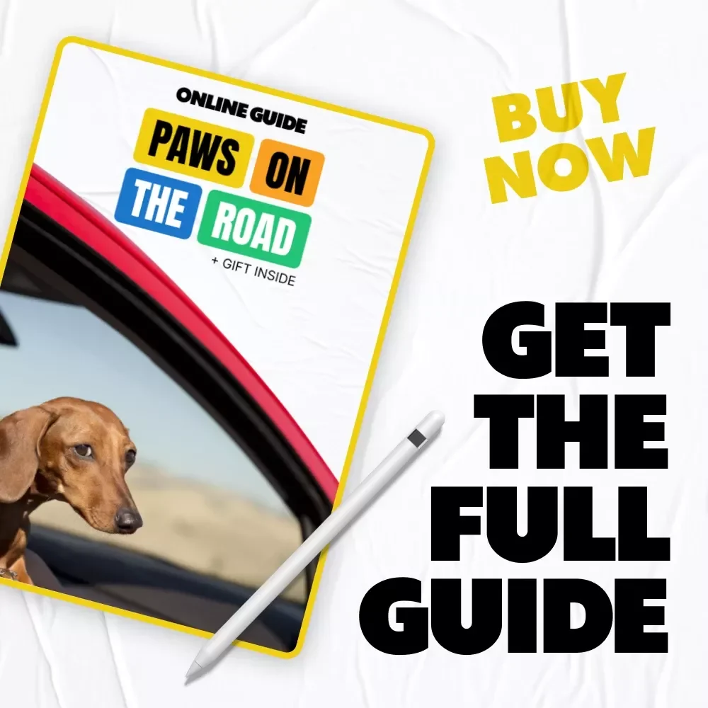 Paws on the Road: A Must-Have Digital Guide for Dog Owners | Car Travel Tips for Dogs, Road Trip Essentials & Safety for Pets