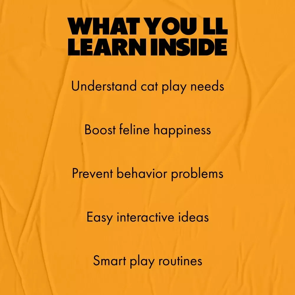 How Much Fun Your Cat Really Needs: The Ultimate Guide to Understanding How Much Play Does My Cat Need for a Happy, Healthy Feline