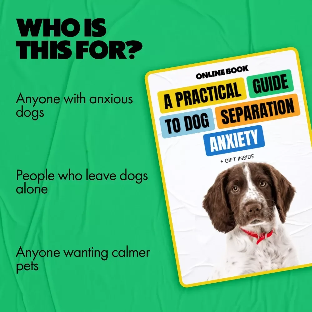 A Practical Guide to Dog Separation Anxiety – In-Depth eBook for Understanding, Training, and Managing dog separation anxiety