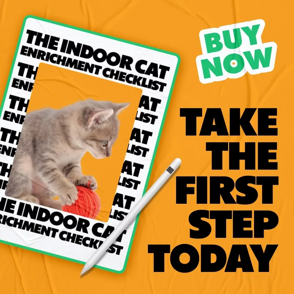 The Indoor Cat Enrichment Checklist: Best Indoor Enrichment for Cats to Keep Them Happy and Stimulated