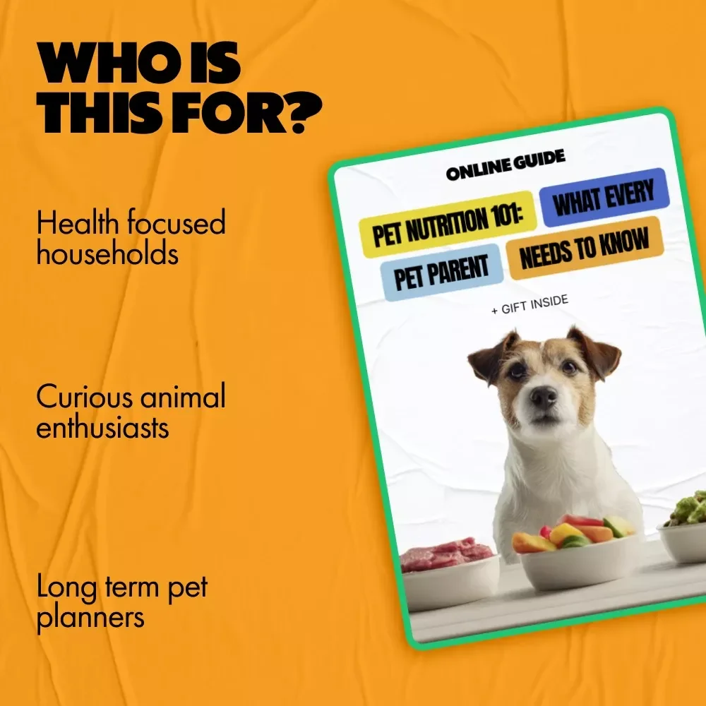 Pet Nutrition 101: What Every Pet Parent Needs to Know | Essential Pet Food Guide, Nutrition Basics Every Pet Parent Should Know | Digital eBook Download