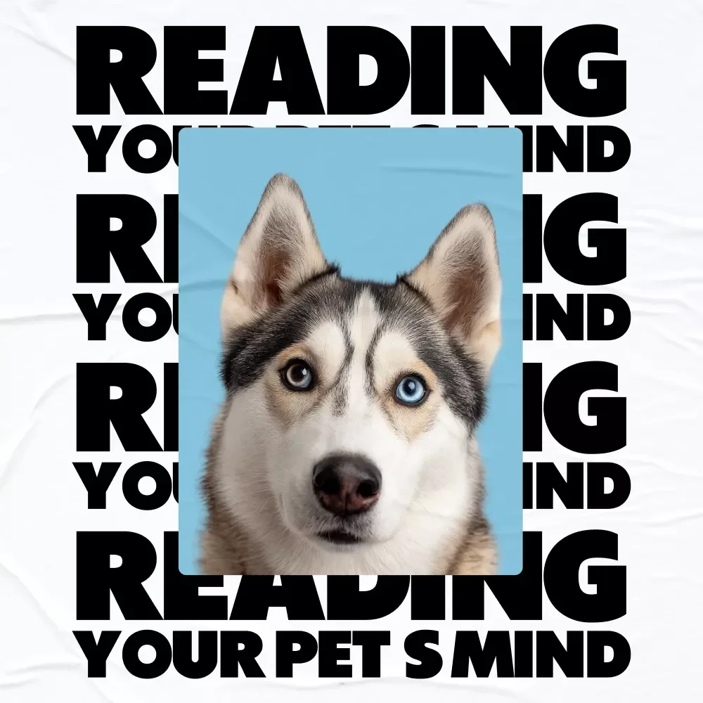 Reading Your Pet’s Mind - Digital Guide: Pet Behavior Signals Decoded to Understand Dog Cat Body Language, Vocal Cues & AI Tools