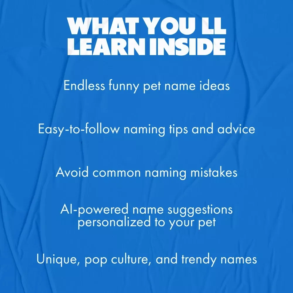 The Ultimate Guide to Funny Pet Names: Creative & Comical Ideas for Your Furry Friend