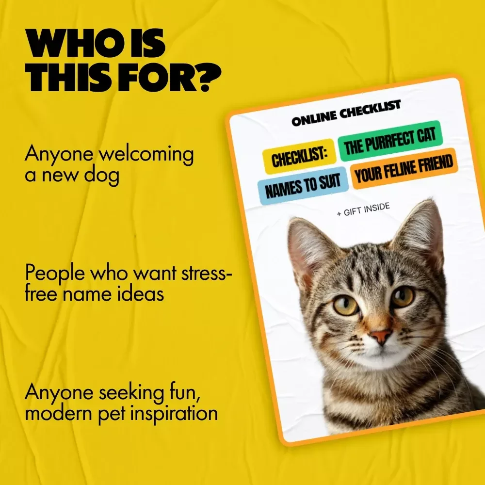 Checklist: The Purrfect Cat Names to Suit Your Feline Friend - Most Popular & Unique Cat Names