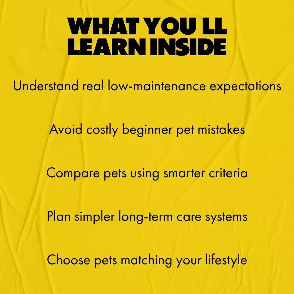 A Smart Guide to Pets That Practically Care for Themselves | Low-Maintenance Pet Guide for Beginners | Learn which pets need the least care