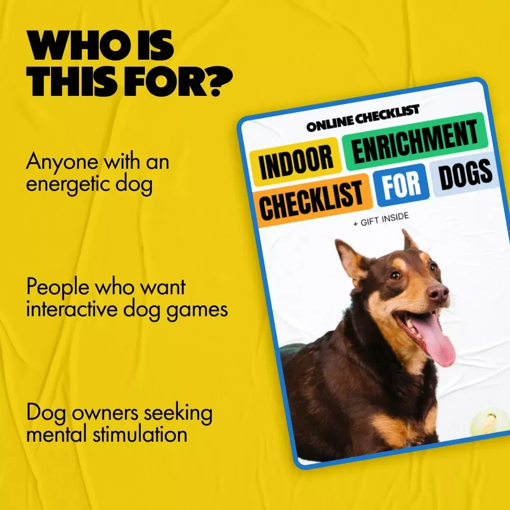 Indoor Enrichment Checklist for Dogs – Best Indoor Enrichment for Dogs Guide