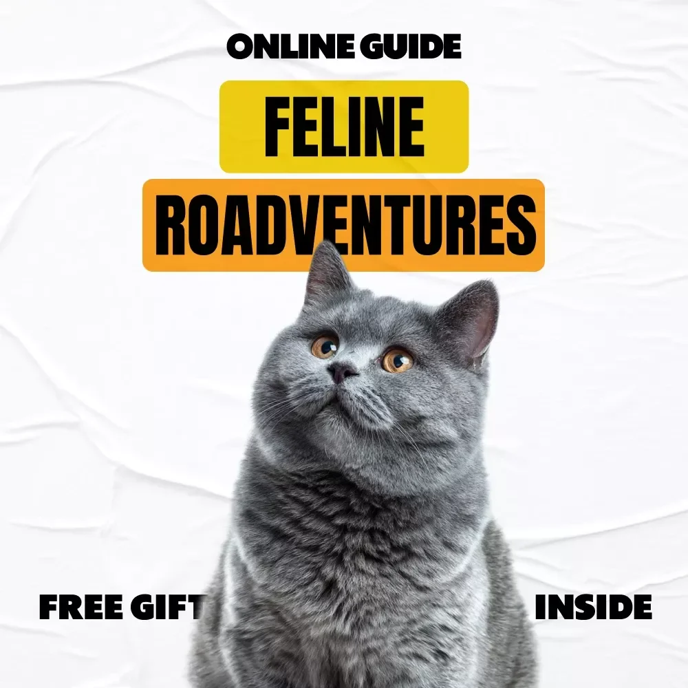 Feline Roadventures: Essential Car Travel Tips for Cats - The Complete Digital Guide