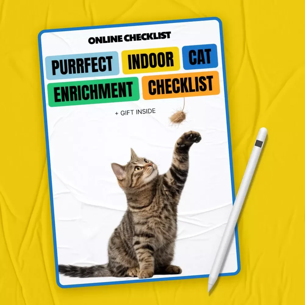 Purrfect Indoor Cat Enrichment Checklist | Enrichment for Bored Indoor Cats