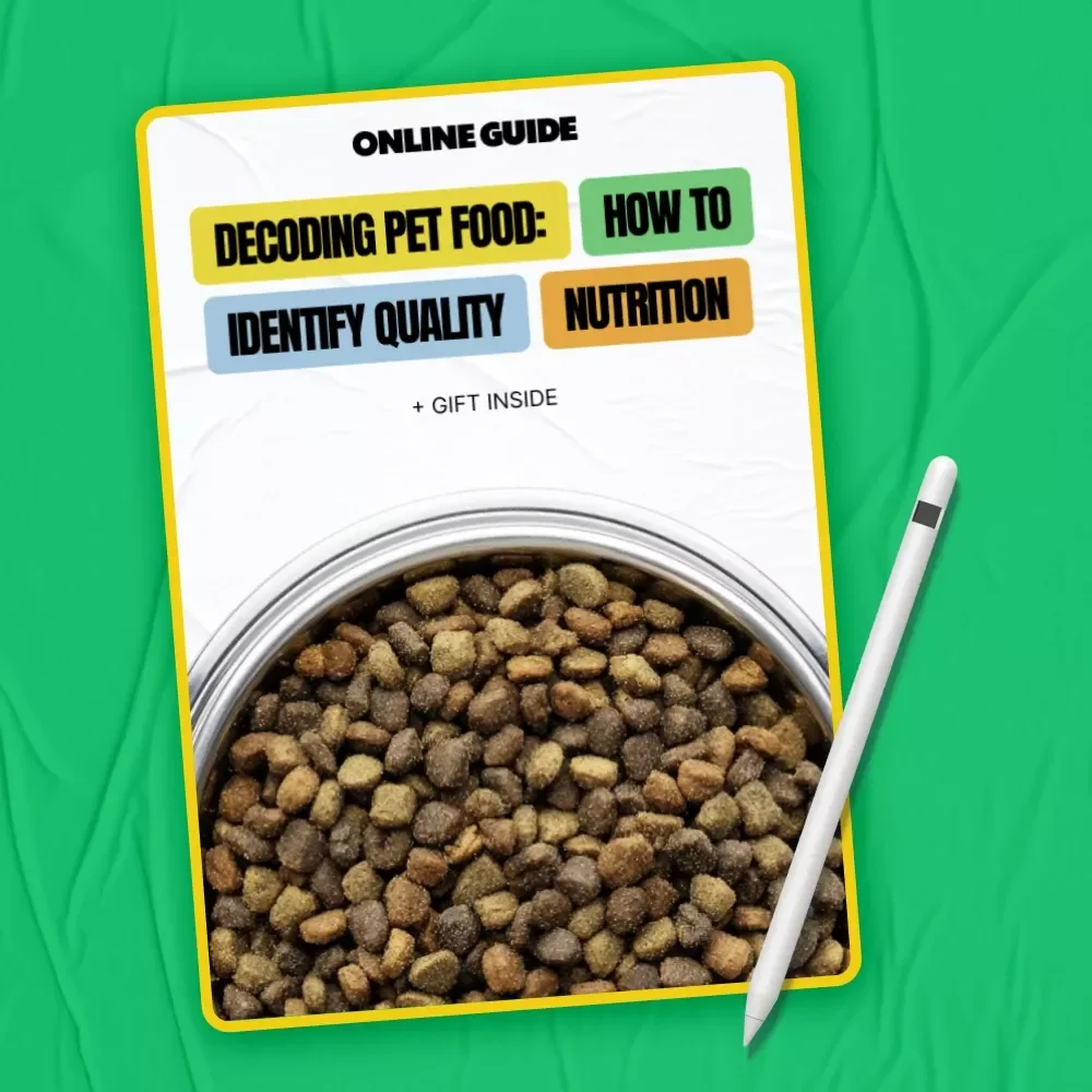 Decoding Pet Food: How to Identify Quality Nutrition | Pet Nutrition Guide for Pet Parents | Learn how to tell if pet food is high quality