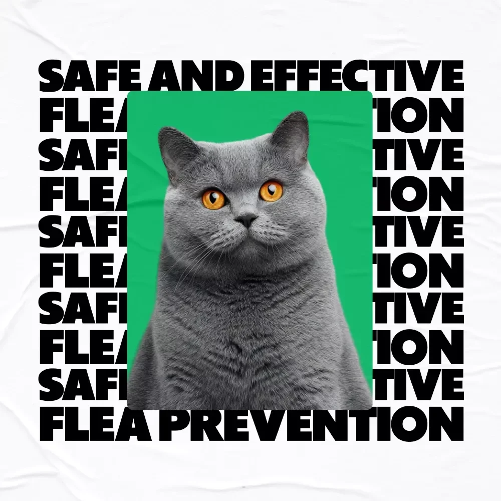 Safe and Effective Flea Prevention – A Natural, Chemical-Free eBook Guide with Best Natural Flea Prevention Ideas for Happy, Healthy Pets