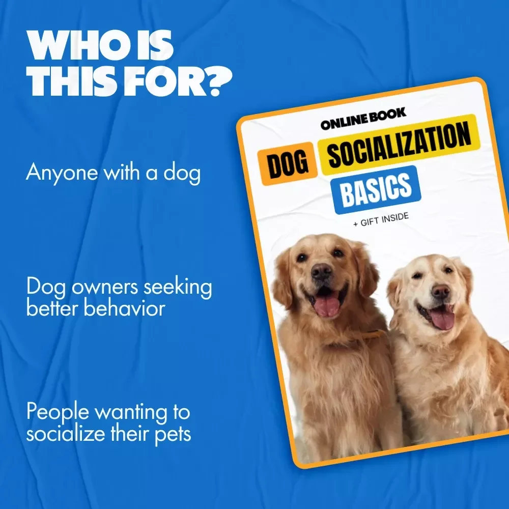 Dog Socialization Basics: A Complete Guide to Raising a Well-Behaved, Confident Pup