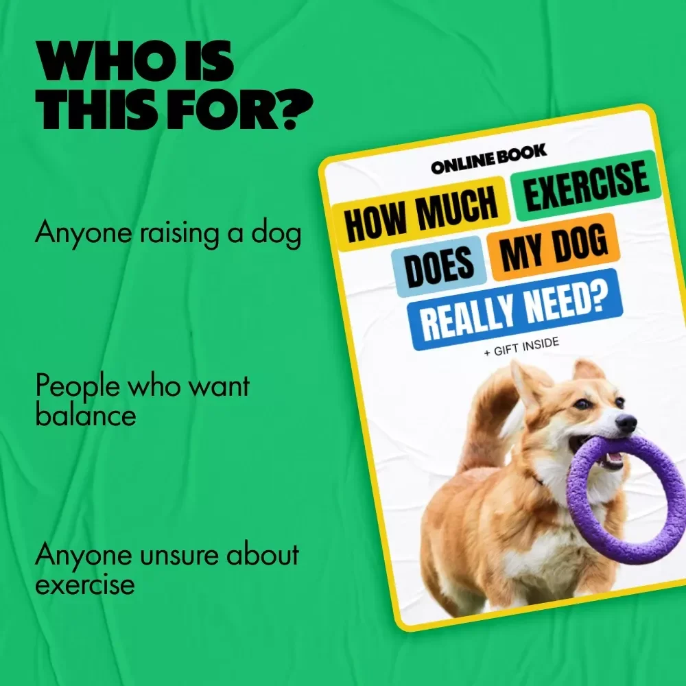 How Much Exercise Does My Dog Really Need | Practical Dog Exercise Guide eBook for Happy, Healthy Pets