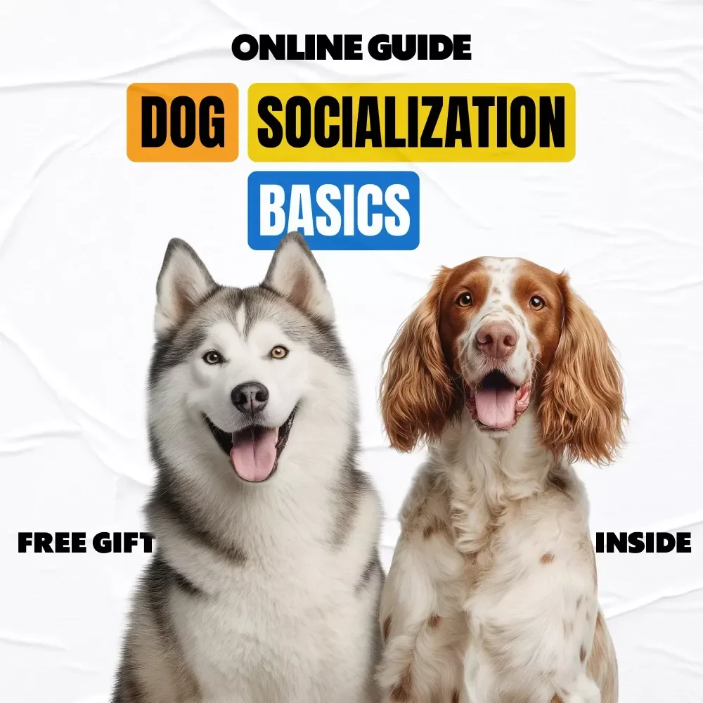 Dog Socialization Basics: A Complete Guide to Raising a Well-Behaved, Confident Pup