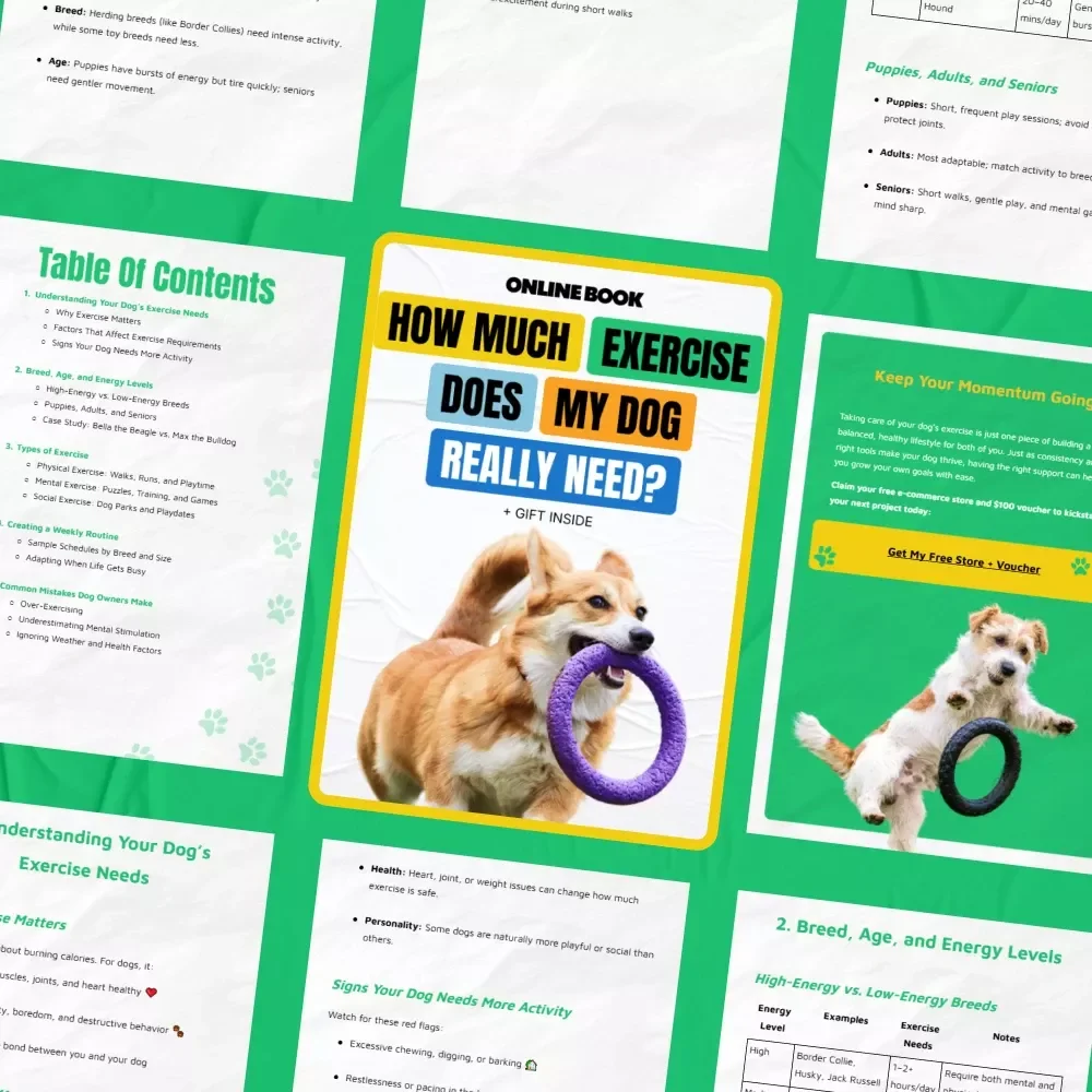 How Much Exercise Does My Dog Really Need | Practical Dog Exercise Guide eBook for Happy, Healthy Pets