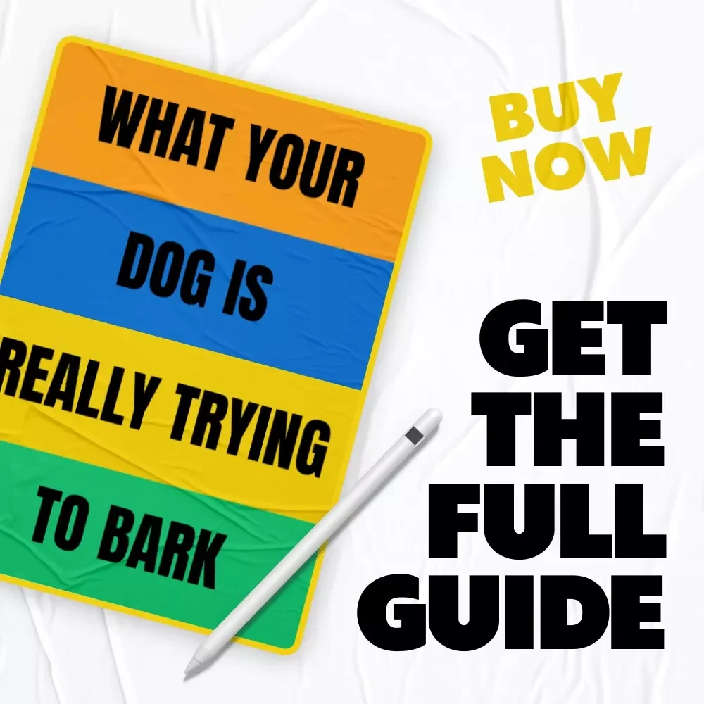 What Your Dog is Really Trying to Bark – A Practical Guide to Dog Barking Meaning Explained for Calm, Confident Owners
