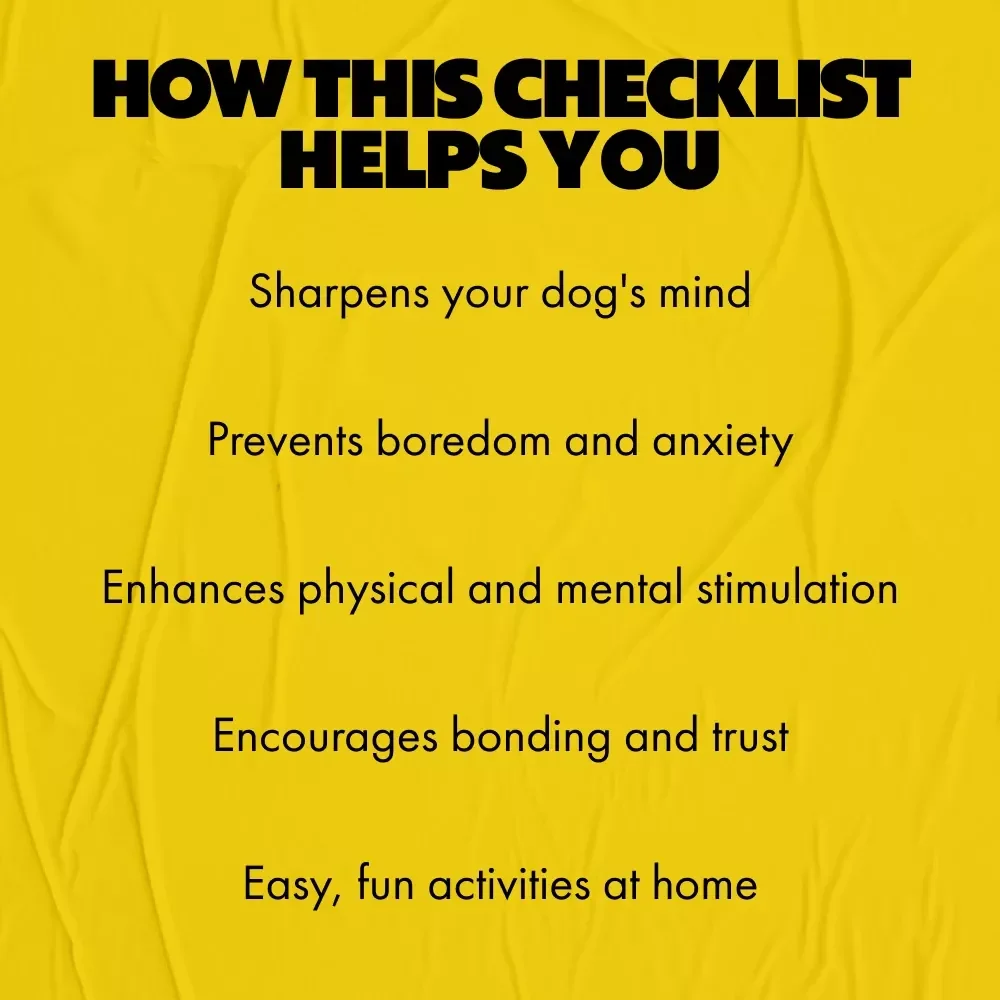 Indoor Enrichment Checklist for Dogs – Best Indoor Enrichment for Dogs Guide