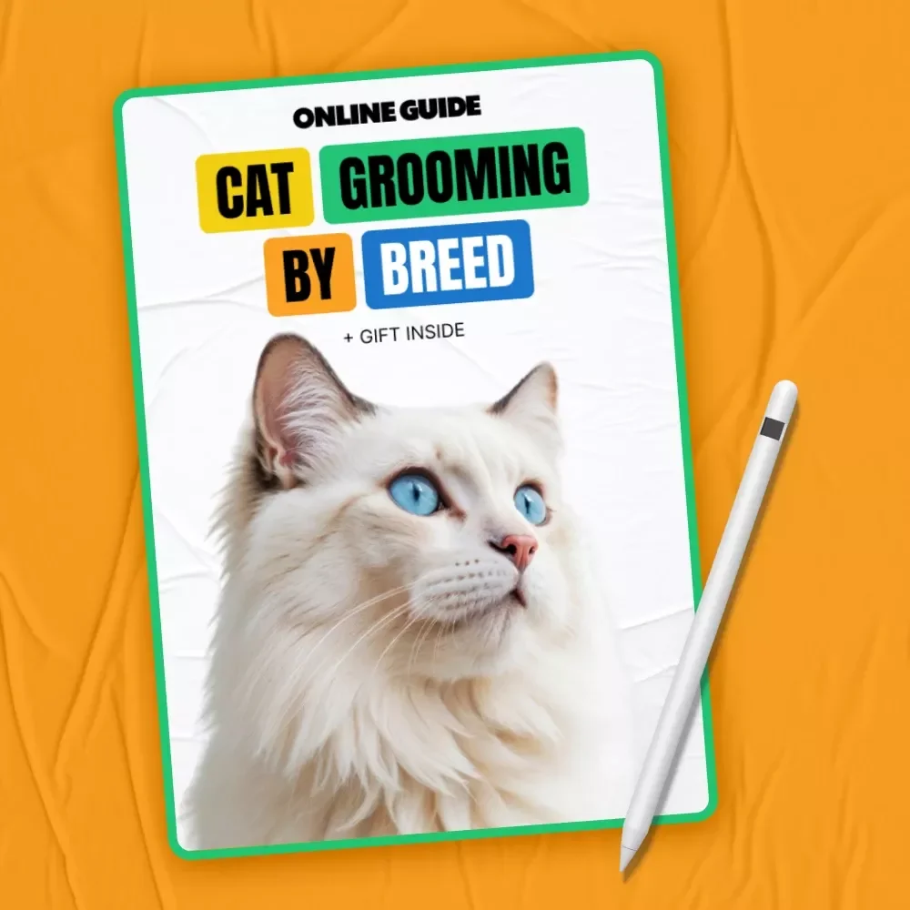 Cat Grooming by Breed: The Ultimate Guide to Caring for Your Cat's Coat