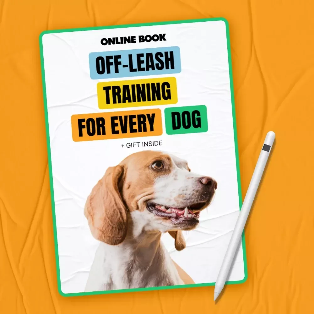 Off-Leash Training Tips for Every Dog | Dog Training Guide eBook | Digital Download for Reliable Recall, Focus & Confident Off-Leash Walking