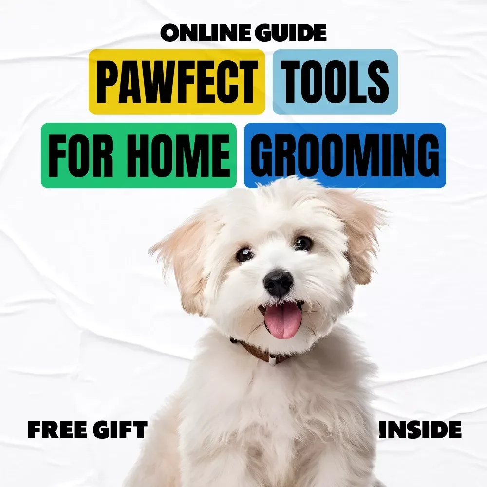 Pawfect Tools for Home Grooming | Dog Grooming Guide Digital Download Checklist | Home Pet Care eBook for Beginners | DIY Grooming Tips & Tools