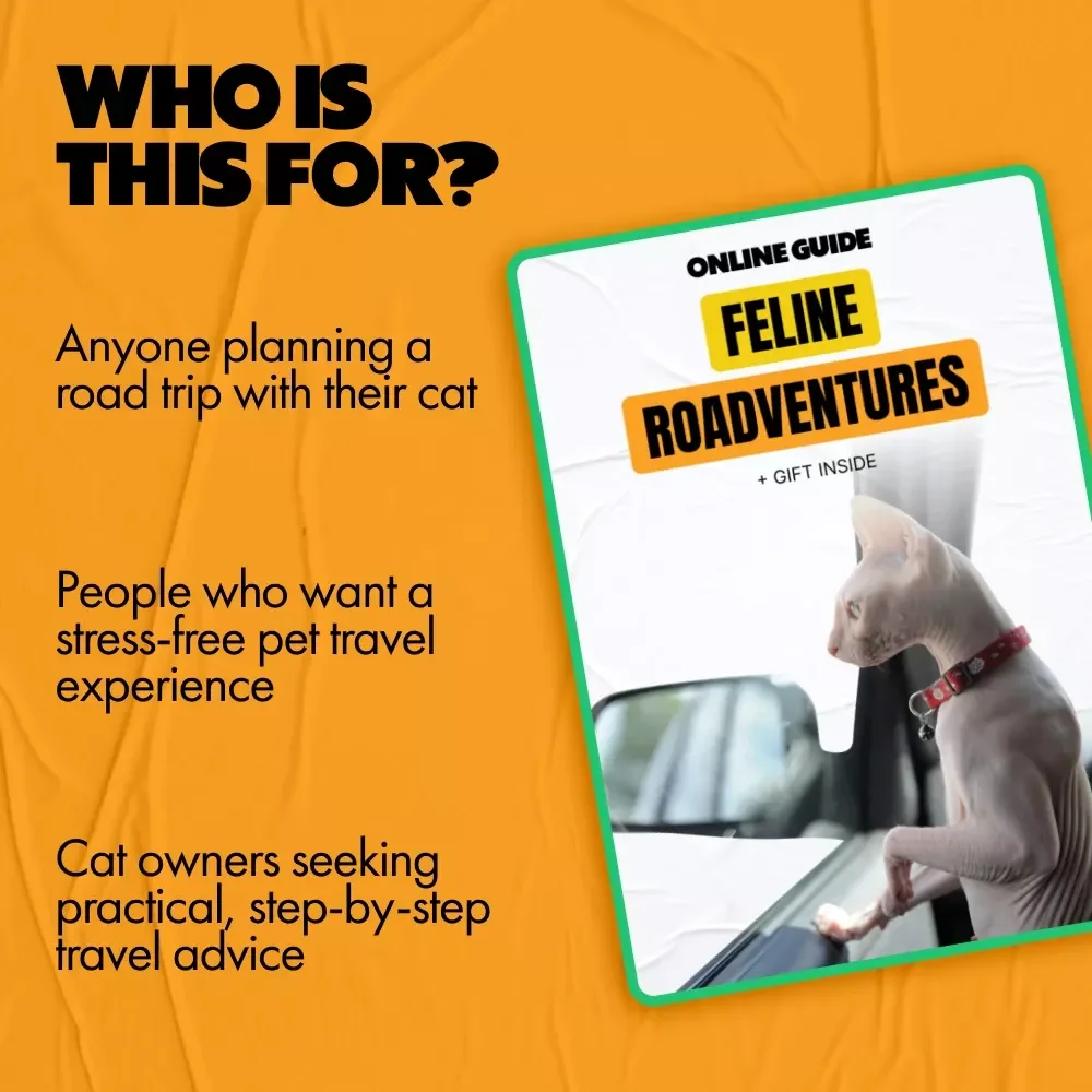 Feline Roadventures: Essential Car Travel Tips for Cats - The Complete Digital Guide
