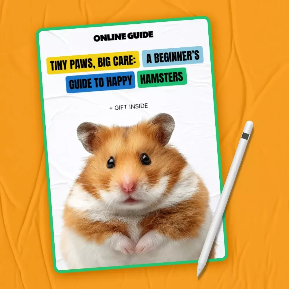Tiny Paws, Big Care: A Beginner’s Guide to Happy Hamsters | Hamster Care Basics Digital Guide for New Pet Owners