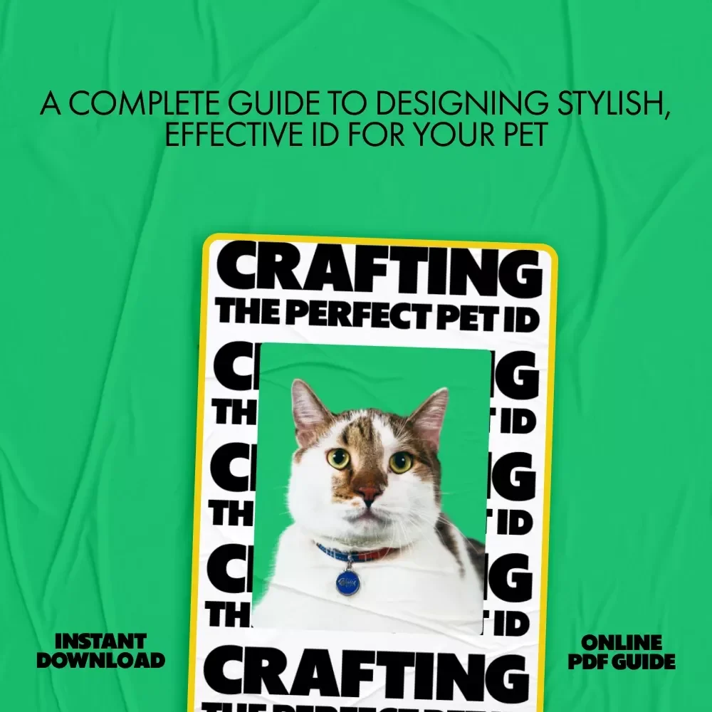 Crafting the Perfect Pet ID | The Essential Digital Guide to Pet ID Tags: What to Include & Why It Matters