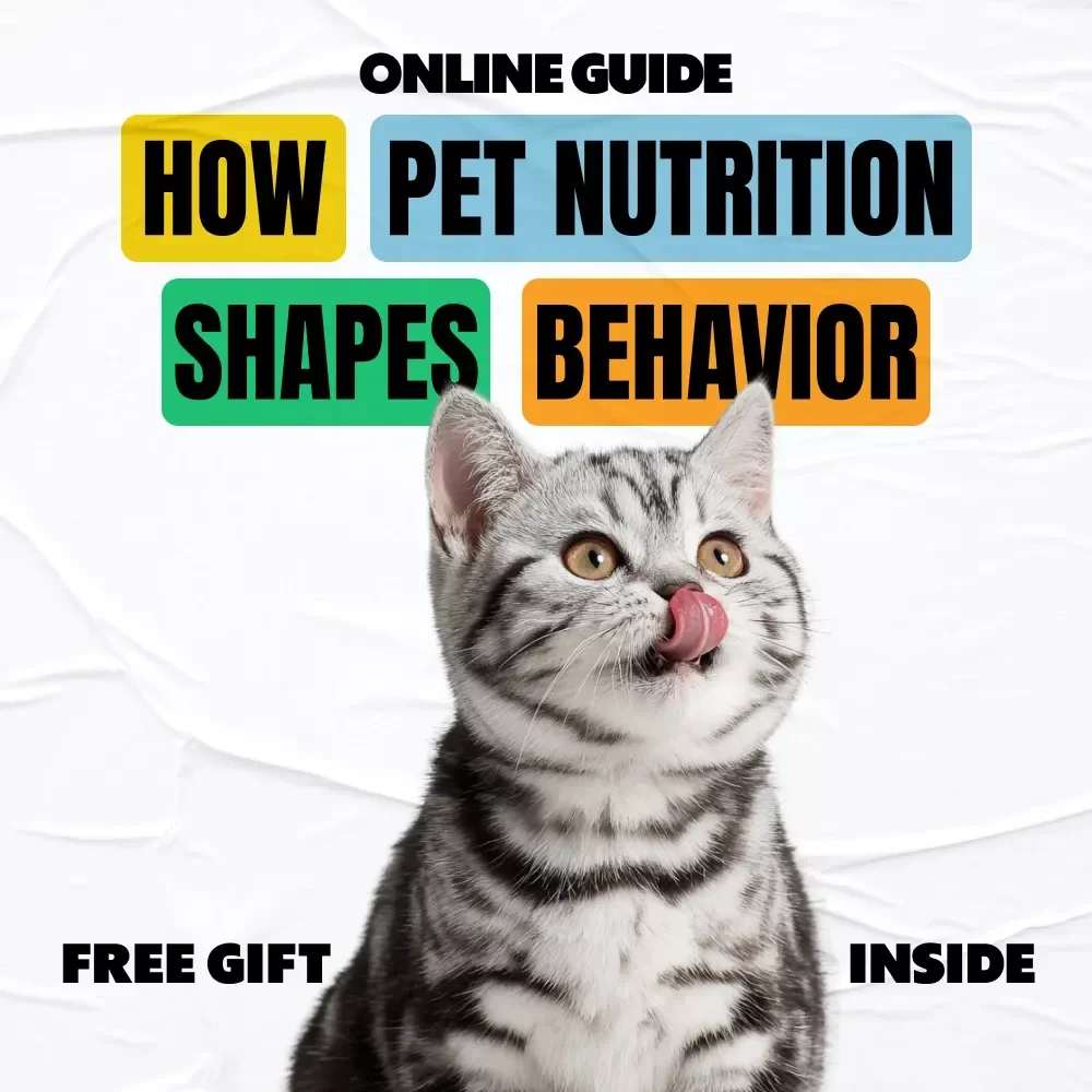 Feed Their Mood: How Pet Nutrition Shapes Behavior | Digital Pet Guide on how pet nutrition affects behavior, Mood, Training & Daily Wellness