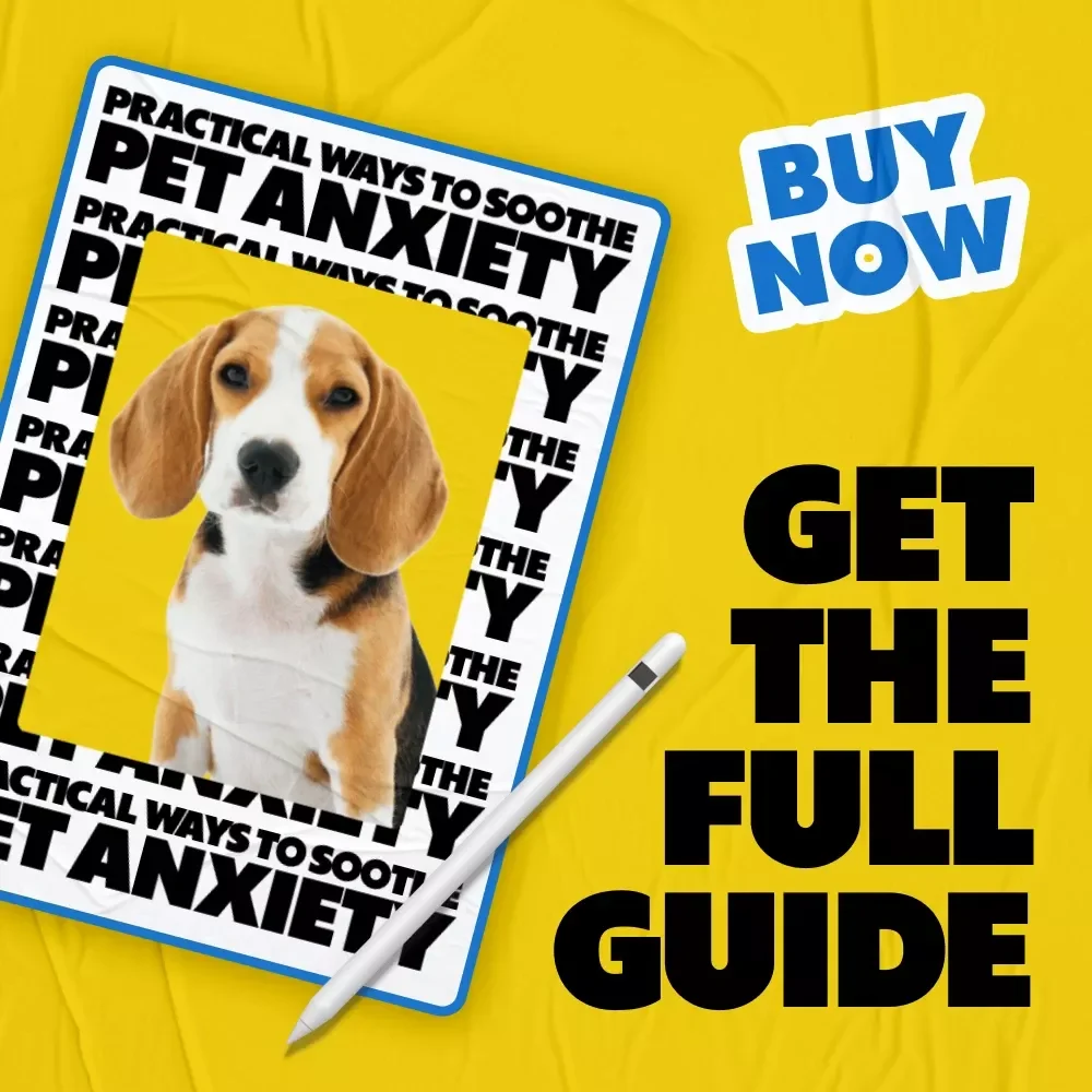 Practical Ways to Soothe Pet Anxiety | Actionable eBook Guide for Pet Anxiety Calming Options & Happier Pets