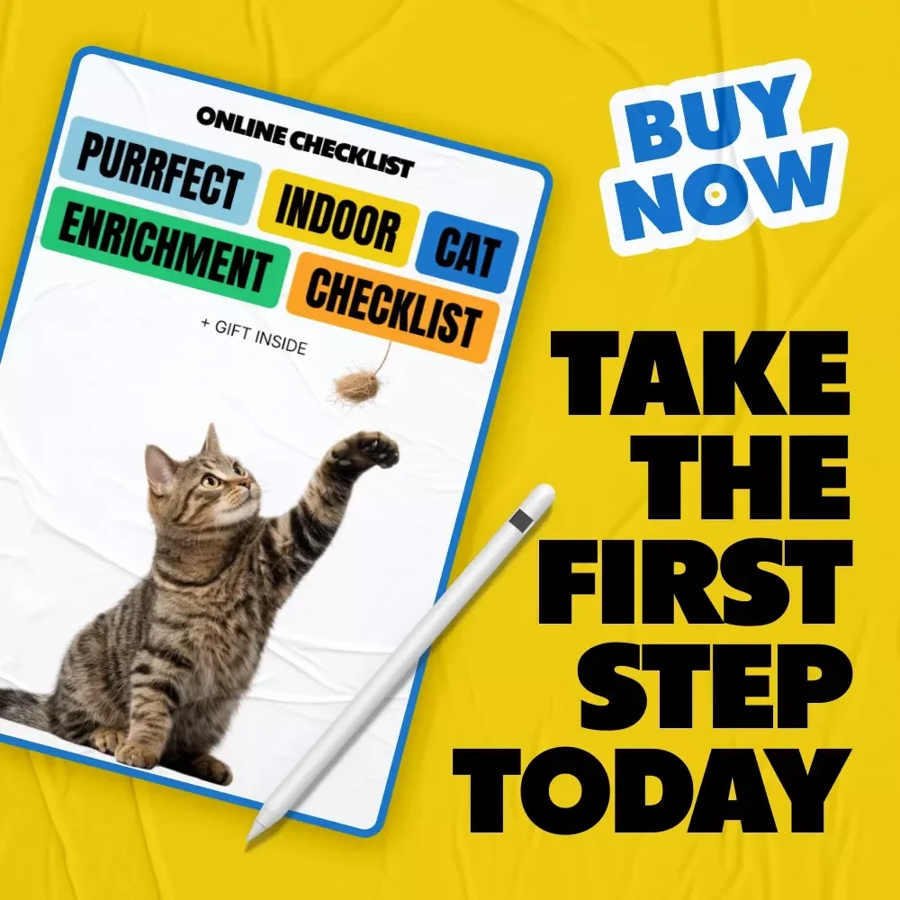 Purrfect Indoor Cat Enrichment Checklist | Enrichment for Bored Indoor Cats