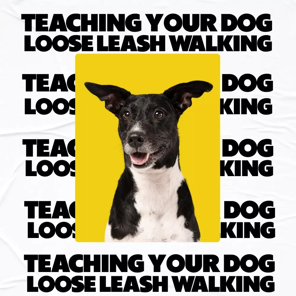 Teaching Your Dog Loose Leash Walking | Dog Training Guide for Calm Walks | Digital Download for Puppy Owners & Dog Parents