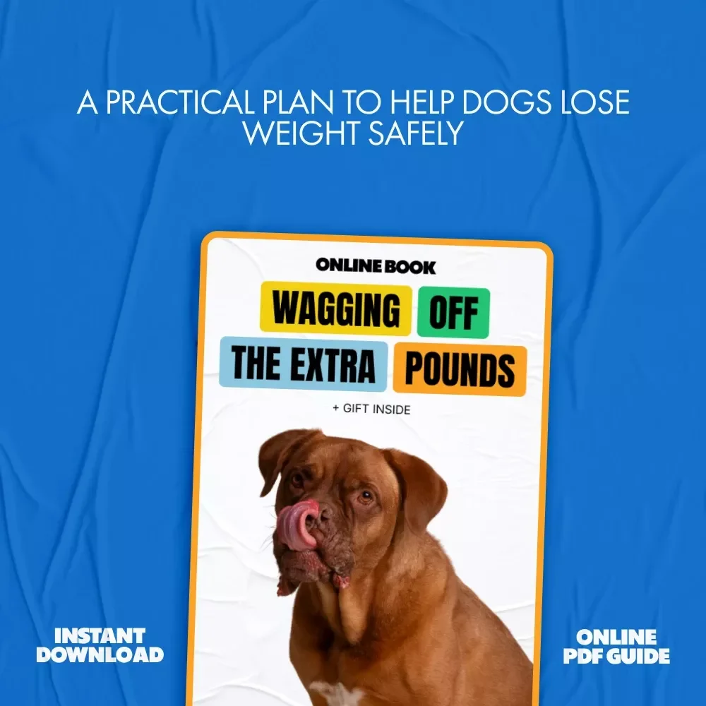Wagging Off the Extra Pounds – A Practical Dog Weight Loss eBook for Pet Parents Wondering what to do if my dog is overweight