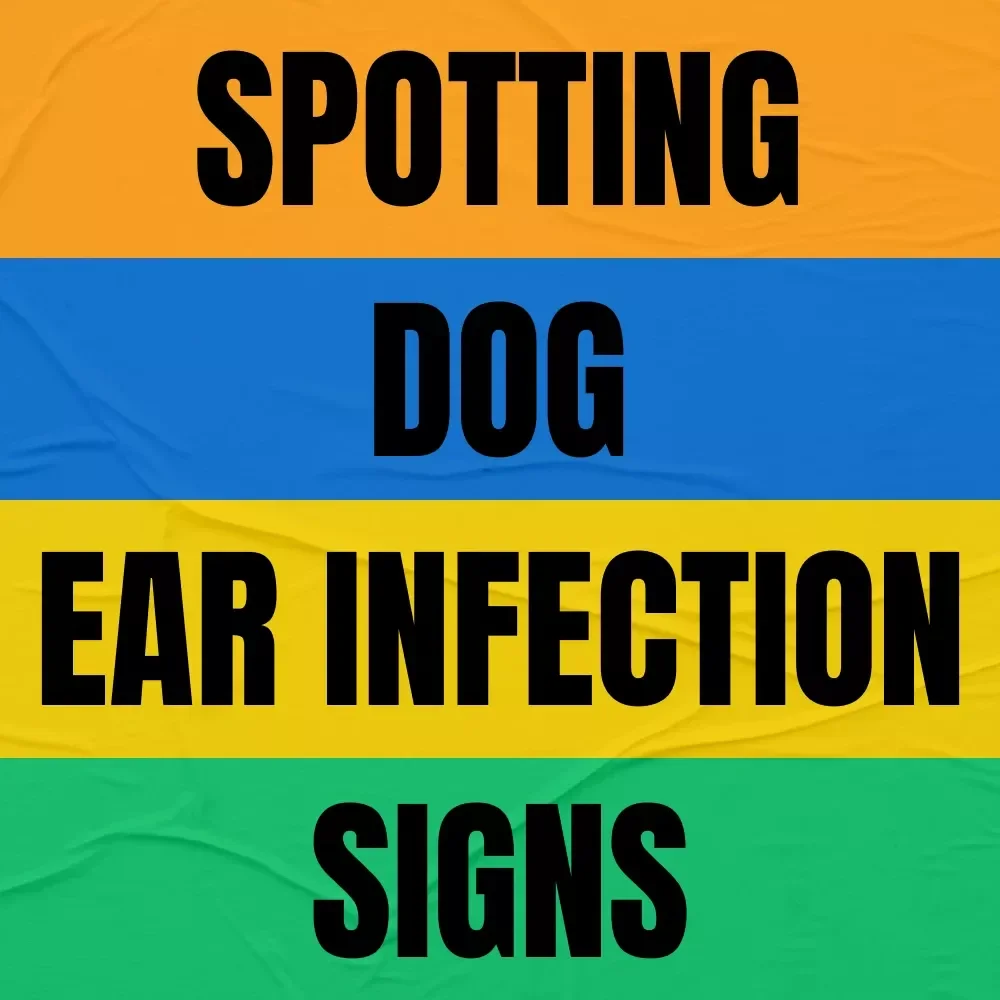 Spotting Dog Ear Infection Signs Early | Dog Ear Infection Guide, Early Warning Checklist, Pet Health eBook, Puppy Care Digital Download, Vet-Recommended Ear Care Tips