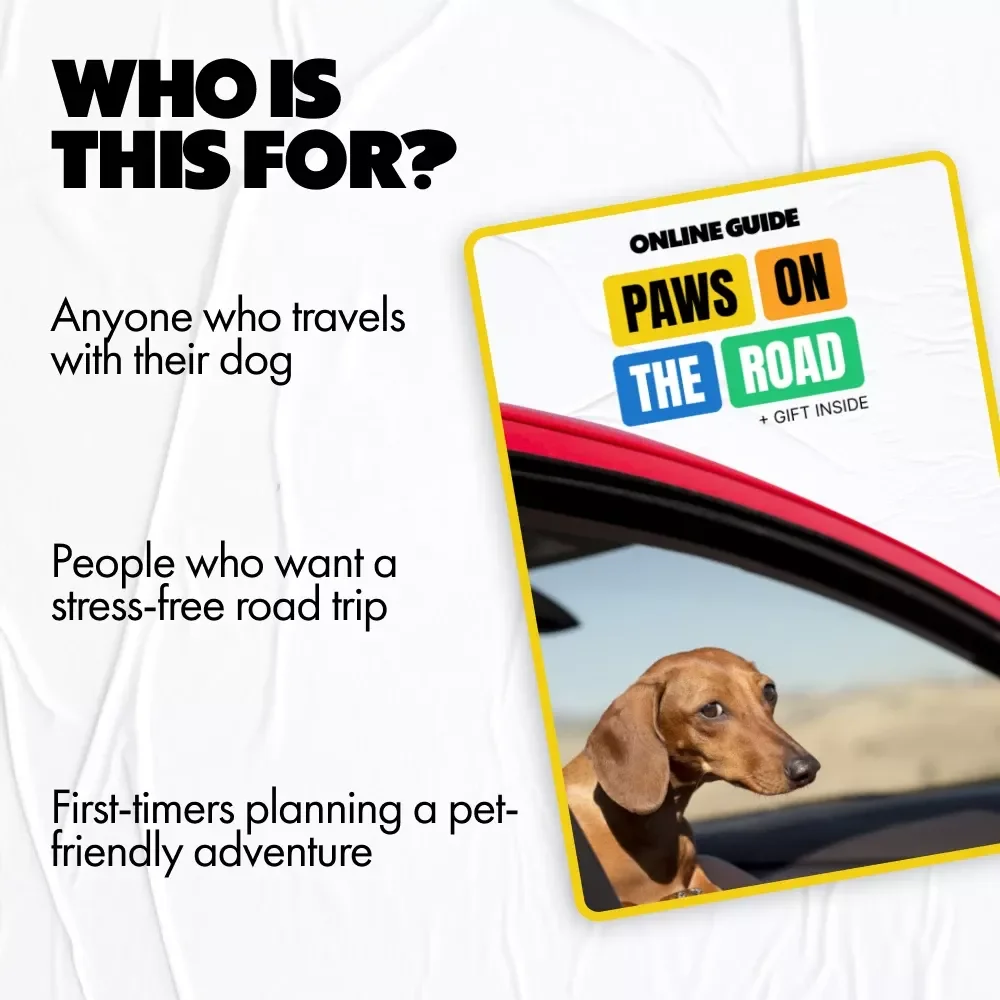 Paws on the Road: A Must-Have Digital Guide for Dog Owners | Car Travel Tips for Dogs, Road Trip Essentials & Safety for Pets