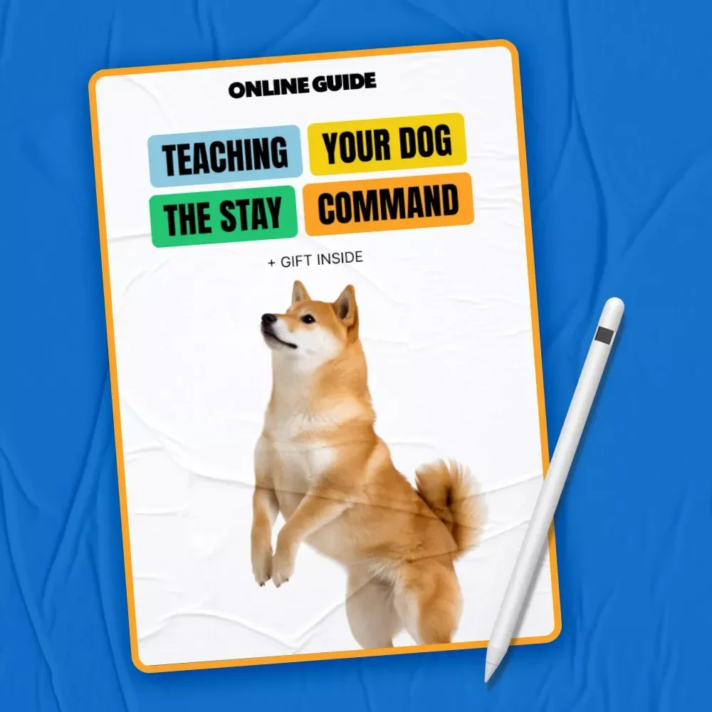 Teaching Your Dog the Stay Command | Dog Training Guide, Puppy Obedience Training, Digital Download, eBook for Beginners