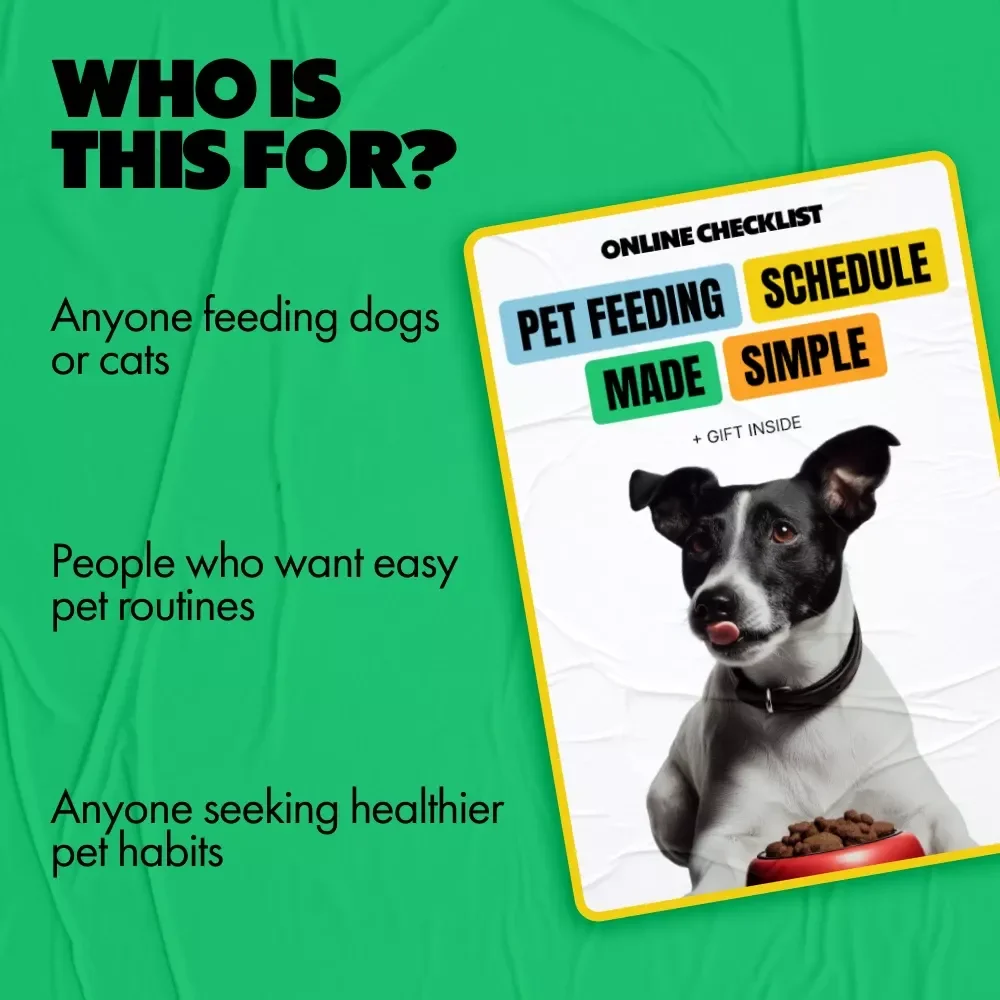 Pet Feeding Schedule Made Simple – Easy Checklist for Daily Routines, Smart Planning & pet feeding schedule ideas for Dogs & Cats