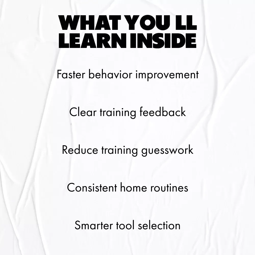 A Home Guide to AI Pet Training Feedback Tools | Smart, Data-Driven Pet Training Guide for Modern Pet Owners