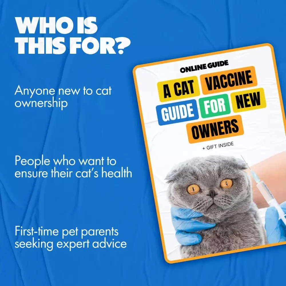 A Cat Vaccine Guide for New Owners: A Comprehensive Digital Download for Healthy Cats